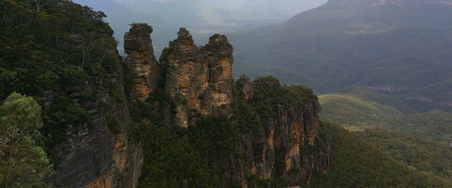 Native flora of Australia